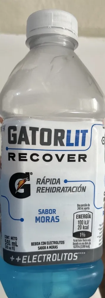 GatorLit Recovery