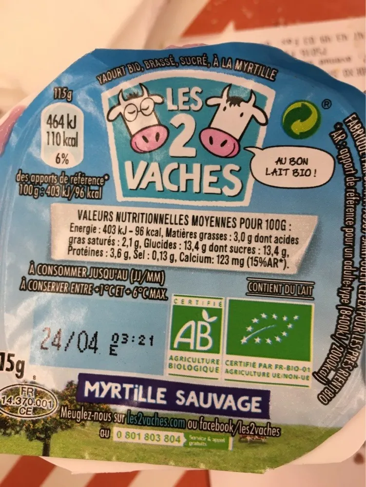 Myrtille sauvage
