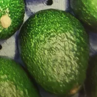 AVOCADO ADEAC