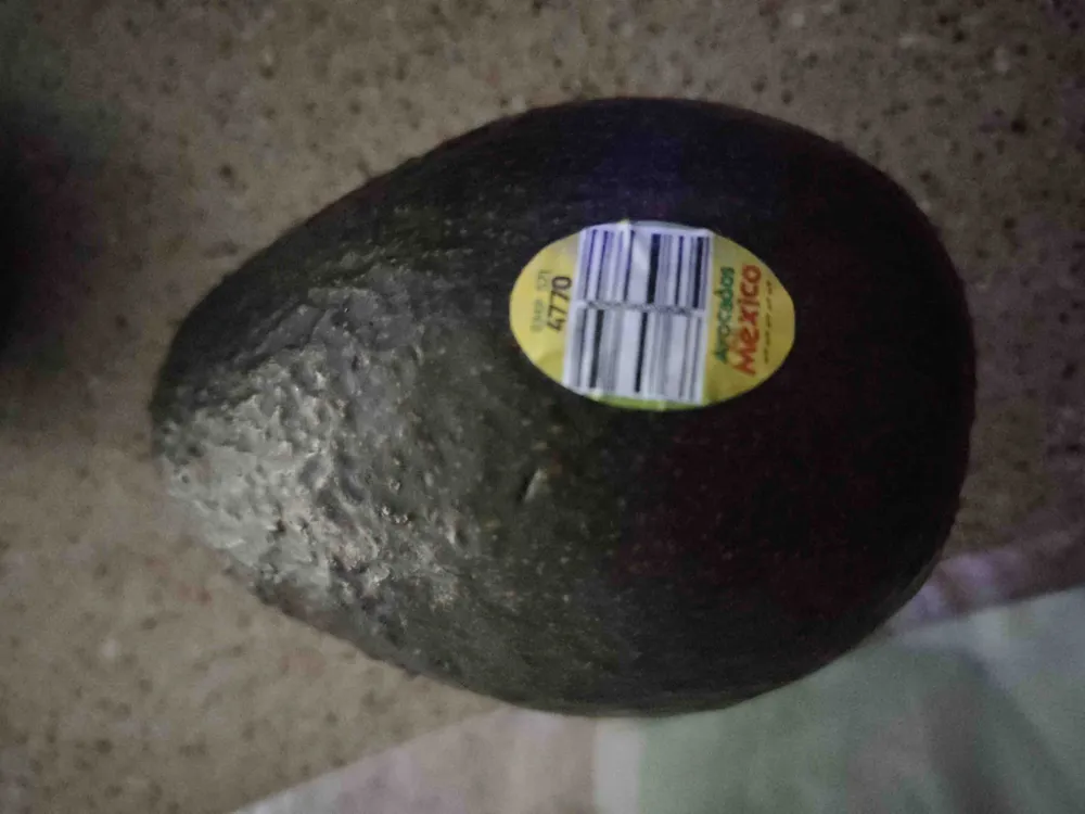 Avacado