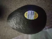 Avacado