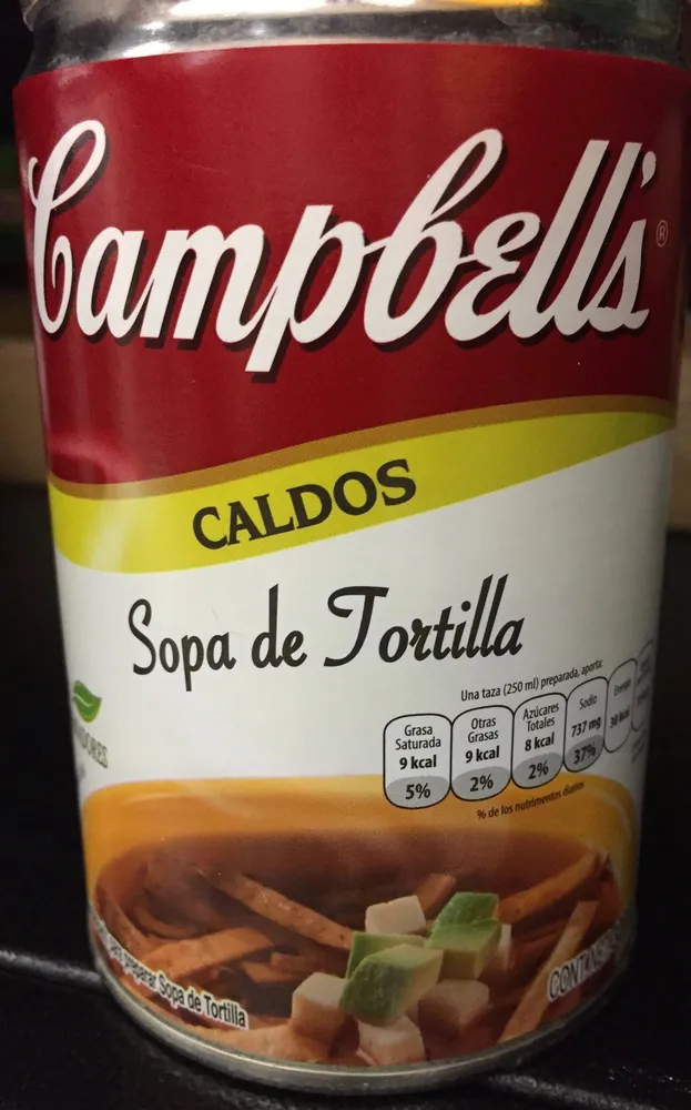 SOPA DE TORTILLA
