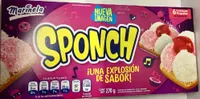 Sponch