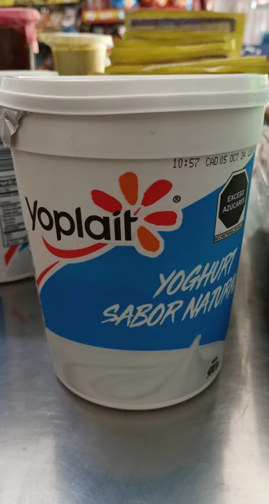 Yogurt Natural