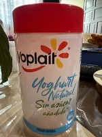 Yoghurt natural sin azúcar añadida