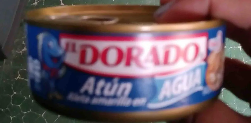 Atún de aleta amarilla en agua