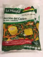 SELECCION DEL CAMPO