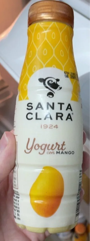 Mango Yogurt