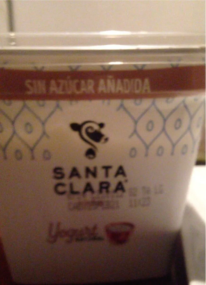 Yogurt nature