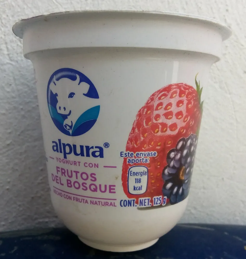 Yogurth con frutos del bosque