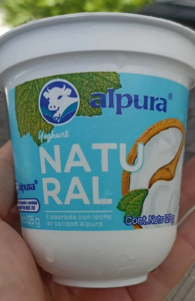 Yogurt Natural