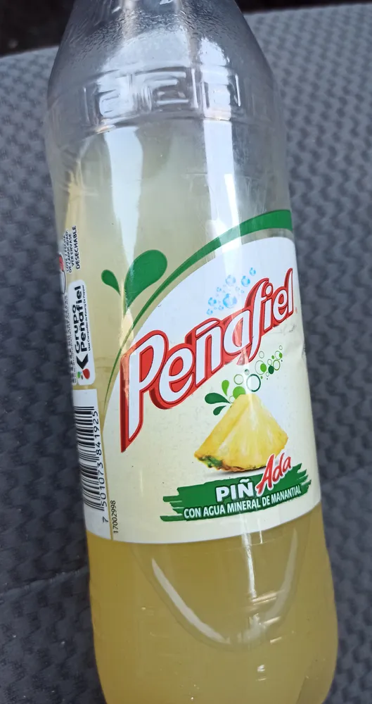 Peñafiel Piñada