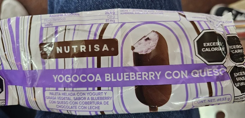 Yogocoa Blueberry Con Queso