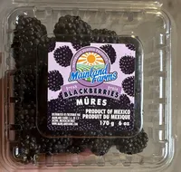 blackberries