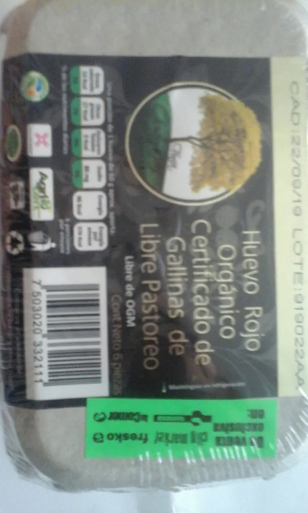 Huevo rojo orgánico certificado de gallina de libre pastoreo