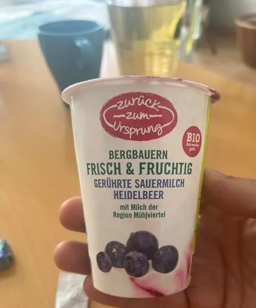 Gerührte Sauermilch Heidelbeer