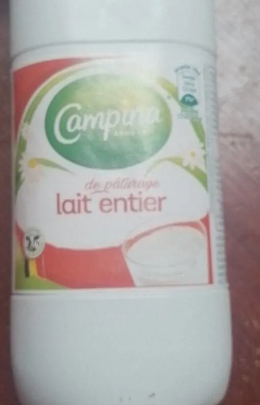 Lait entier