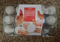 Oeufs d'élevage au sol