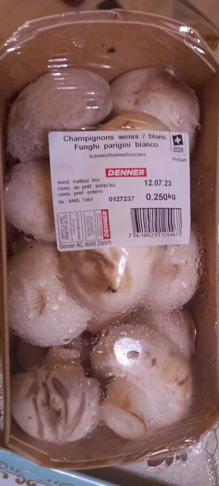 Champignons blanc