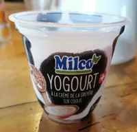 Yogourt