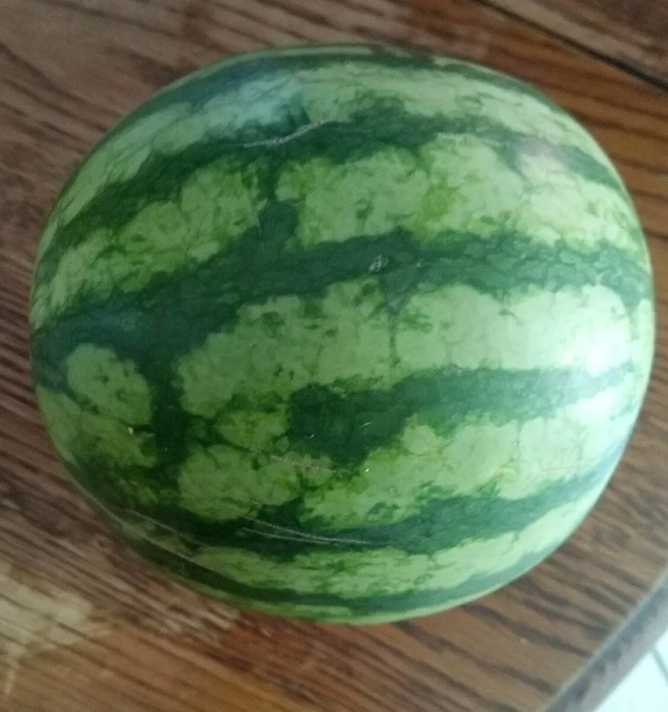 Mini Pastèque