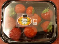 Fraise Primagusto