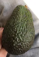 Bio Avocado