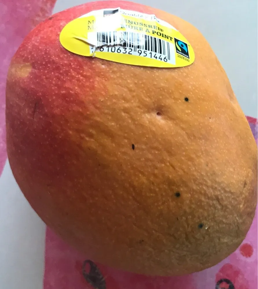 Mangue