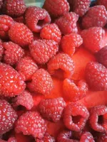 Framboises