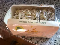 Pousse de haricots mungo
