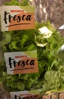 Salade Batavia