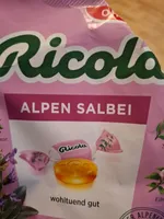 Alpen Salbei
