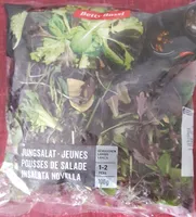Jeunes pousses de salade