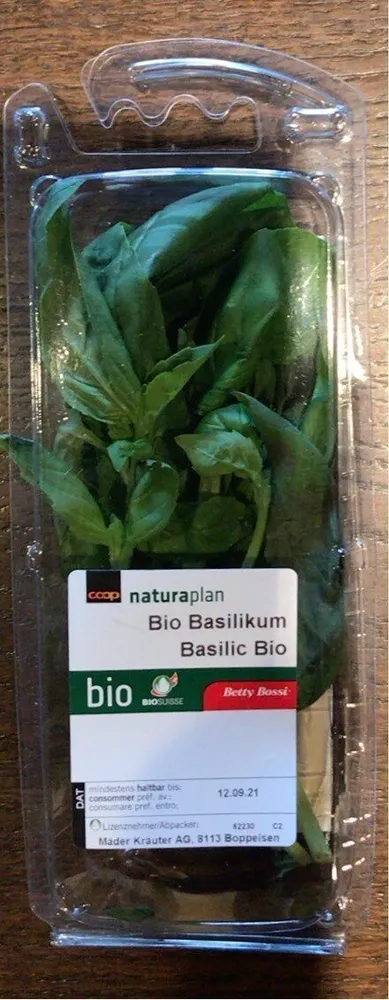 Bio Basilikum