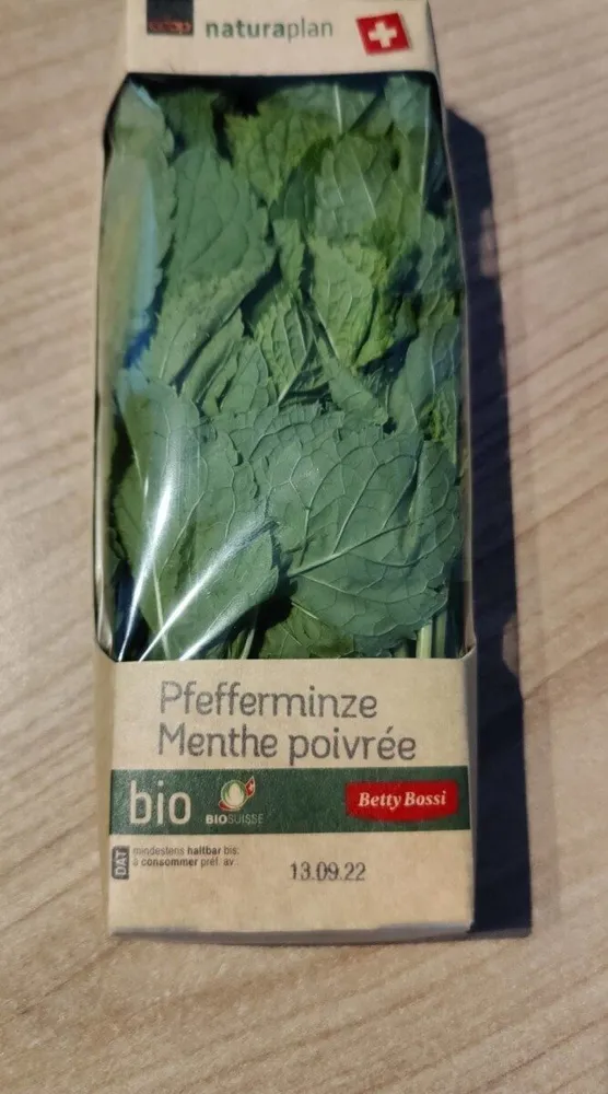 Menthe poivrée