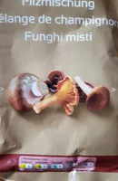 Mélange de champignons
