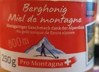 Berghonig