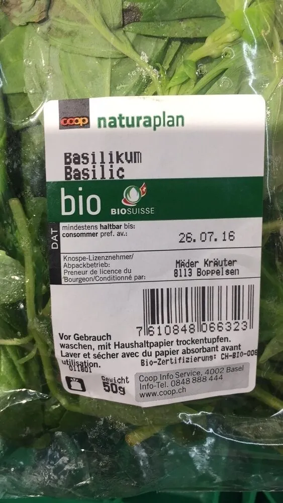 Basilic