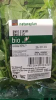 Basilic