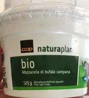 Mozzarella di bufala campana
