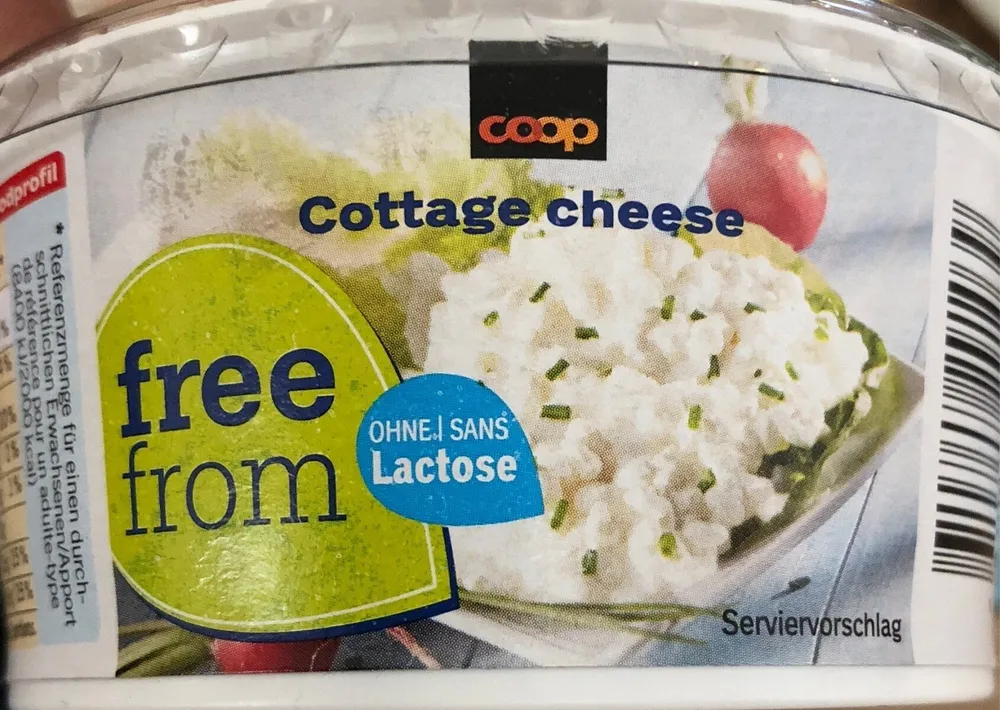 Cottage Cheese sans lactose