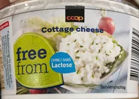 Cottage Cheese sans lactose