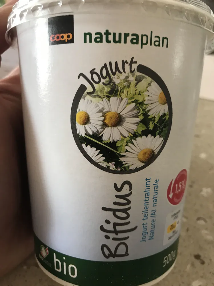 Jogurt Bifidus Nature
