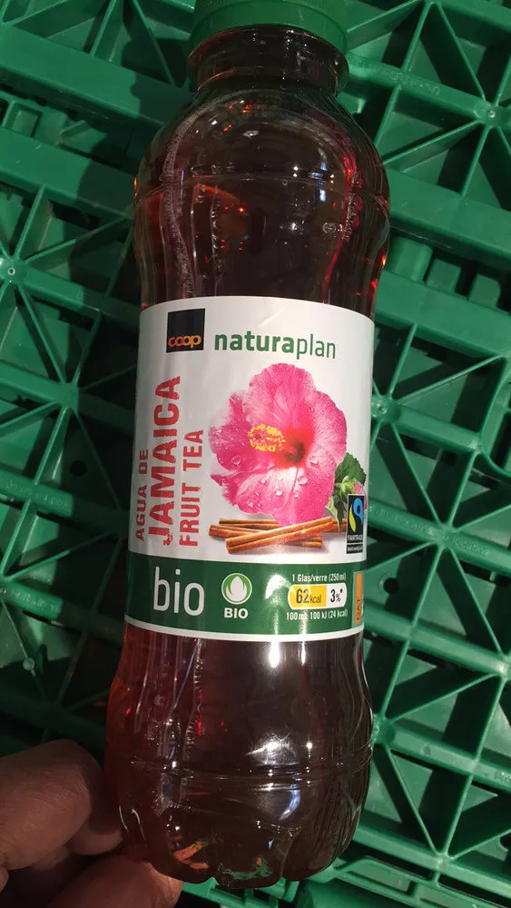 Agua de Jamaica Fruit Tea