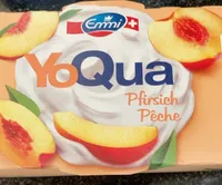 Yogua Pêche