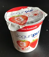 Yogourt