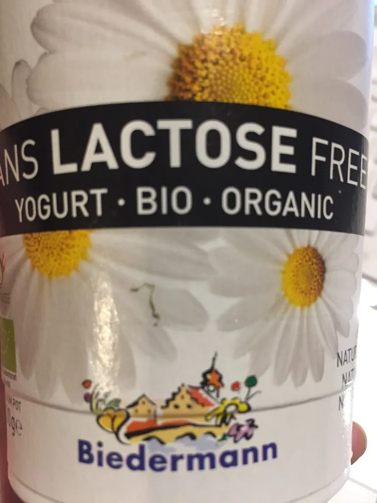 Yaourt bio sans lactose