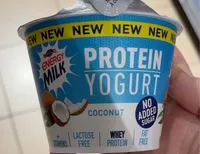 Protein Yogurt