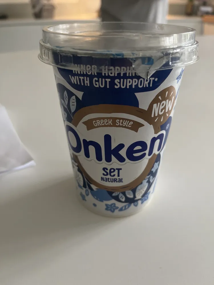 Greek Style Yogurt