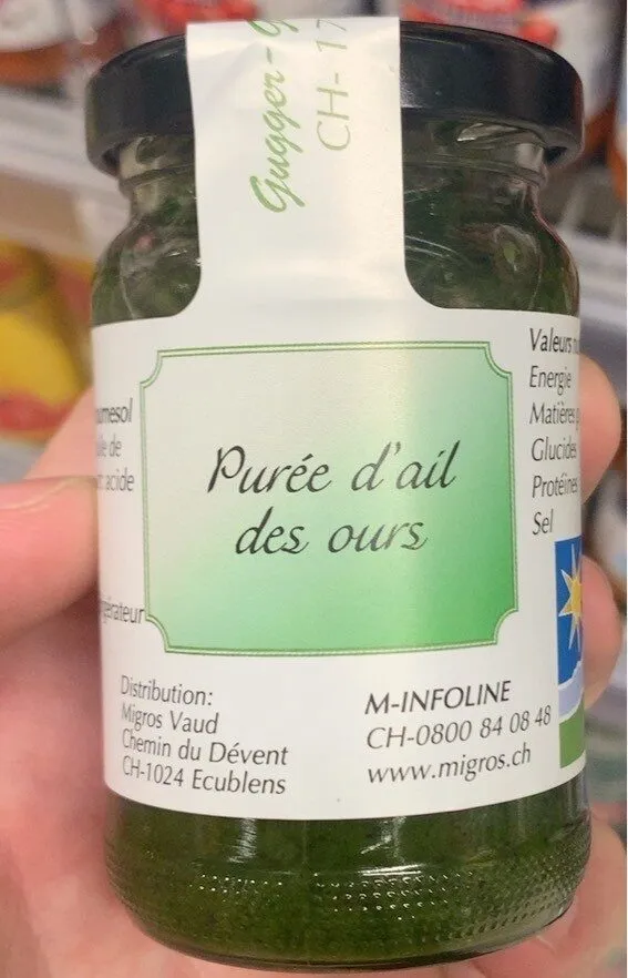 Purée d’ail des ours